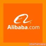 تحميل علي بابا 2025 Alibaba الاصدار الاخير مجاناً