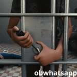 تحميل الهروب من السجن Prison Escape الاصدار الاخير للاندرويد مجاناً