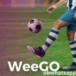 تحميل Weego 365 الاصدار الاخير للاندرويد مجاناً